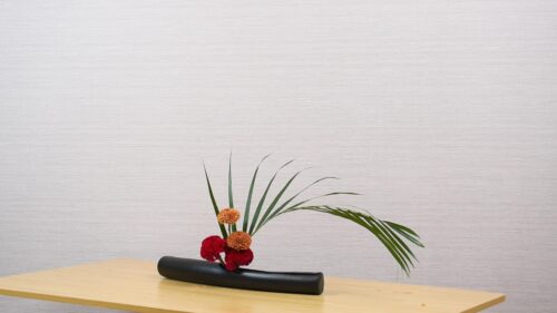 ピンポンマムを入れる