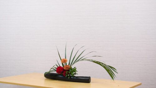 アレカヤシを入れる