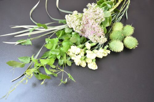 今回の花材