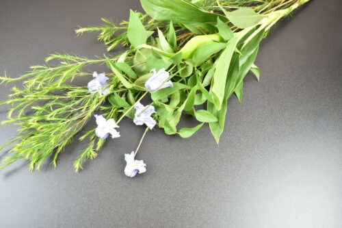 今回の花材