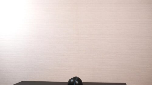 黒の半球形の花器