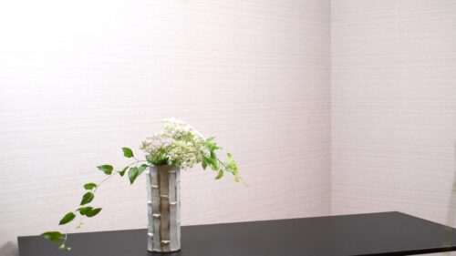 セダムを入れる