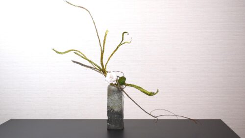 バラを入れる