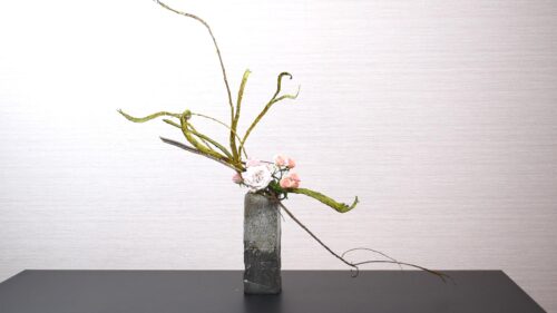 石化柳を追加する