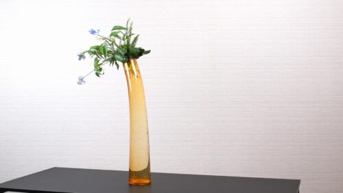 メラレウカを入れる