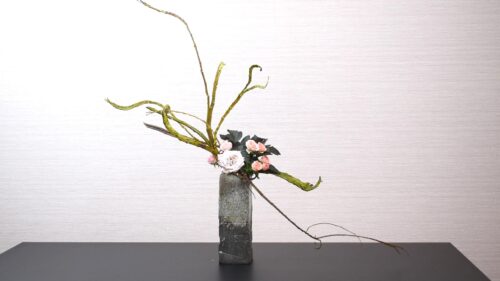 ユーパトリウムを入れる