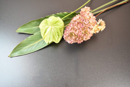 今回の花材