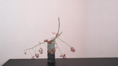 ノイバラを入れる