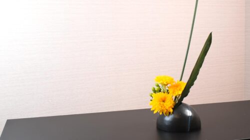 ストレリチアを入れる